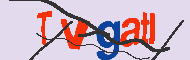 Codice captcha