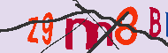Codice captcha