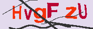 Codice captcha