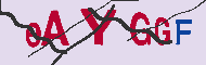 Codice captcha
