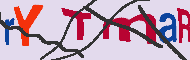 Codice captcha