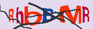 Codice captcha